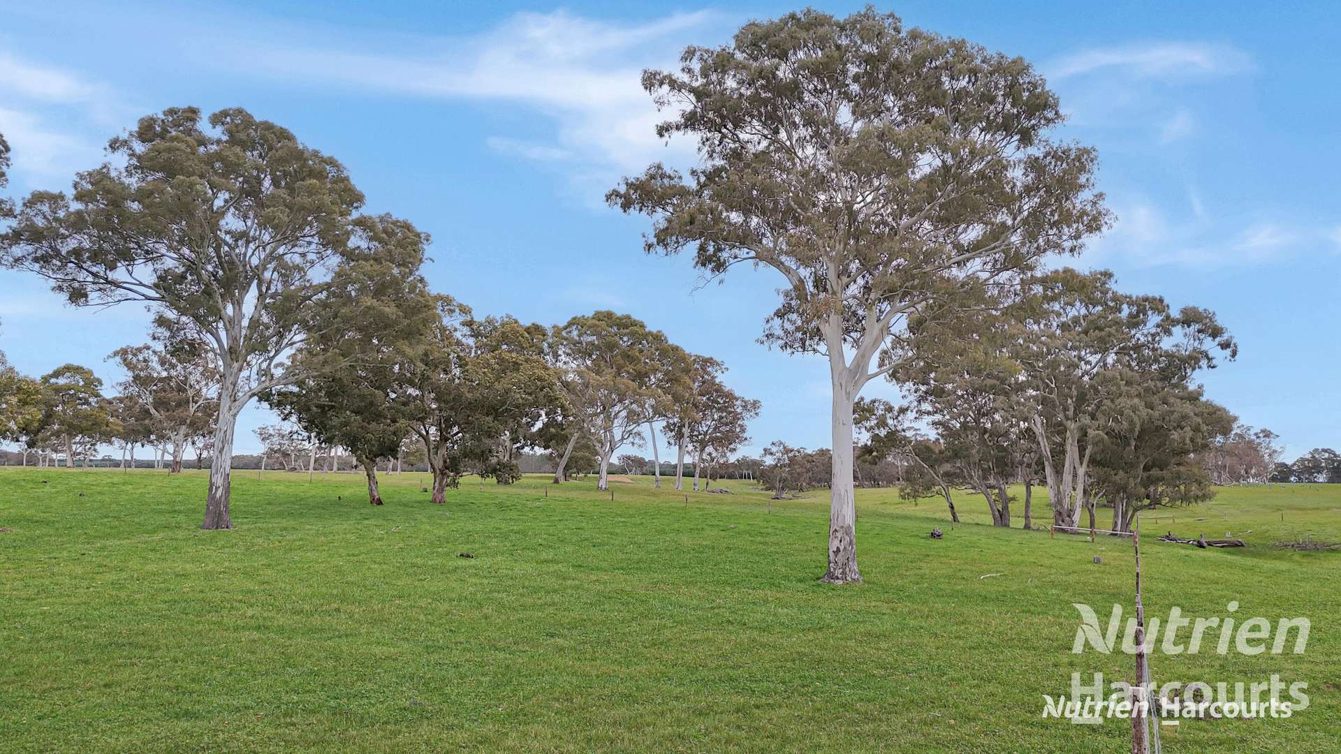 4685 Casterton - Apsley Road, Dergholm For Sale by Farmbuy.com - image 10