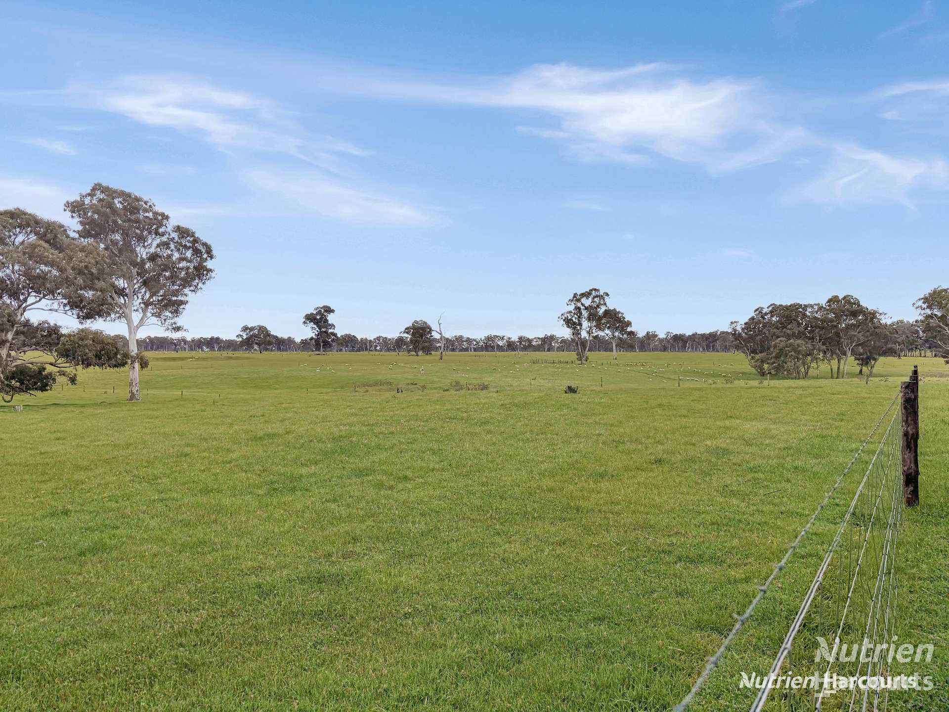 4685 Casterton - Apsley Road, Dergholm For Sale by Farmbuy.com - image 21