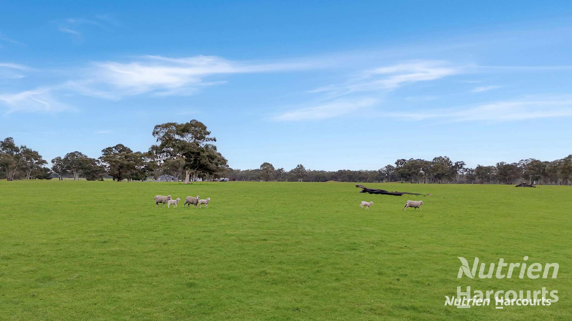 4685 Casterton - Apsley Road, Dergholm For Sale by Farmbuy.com - image 8