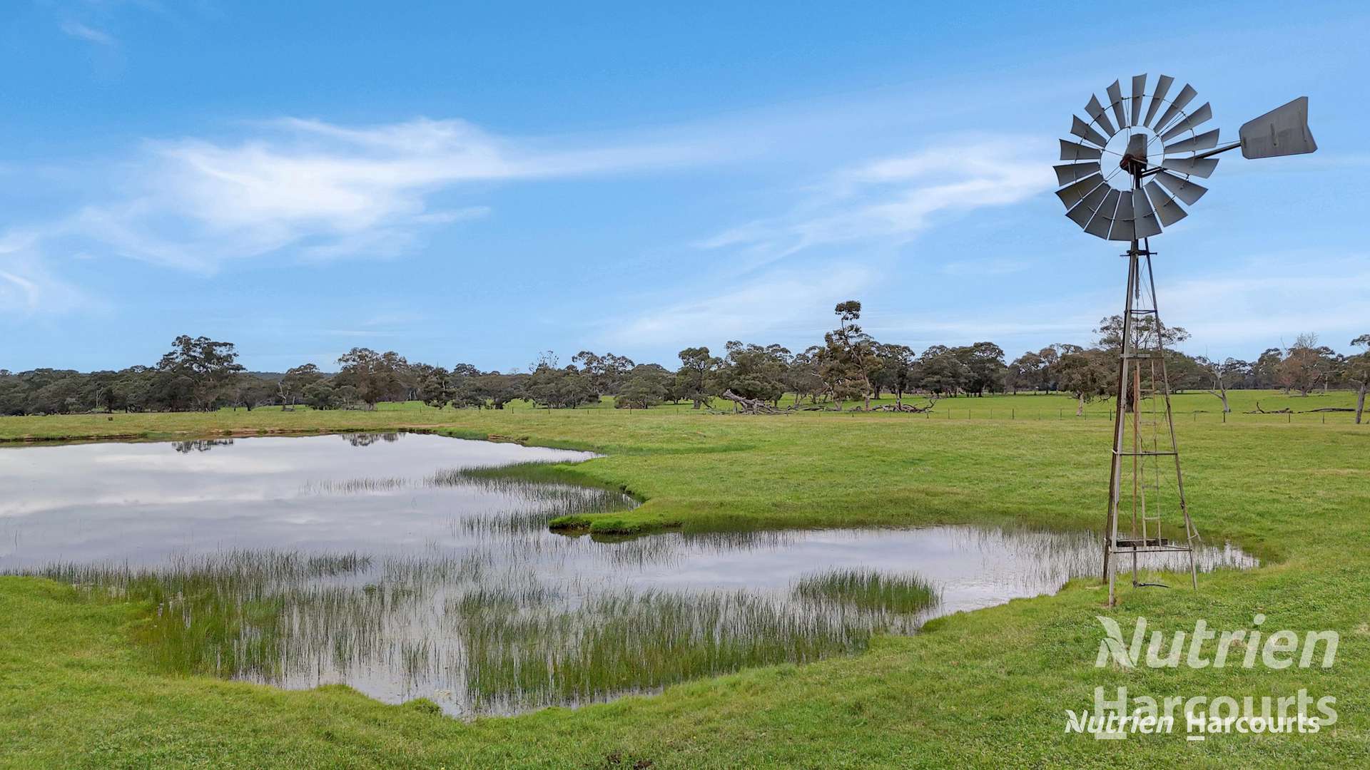 4685 Casterton - Apsley Road, Dergholm For Sale by Farmbuy.com - image 6
