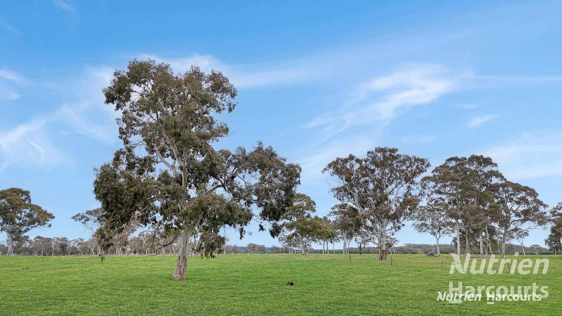 4685 Casterton - Apsley Road, Dergholm For Sale by Farmbuy.com - image 7