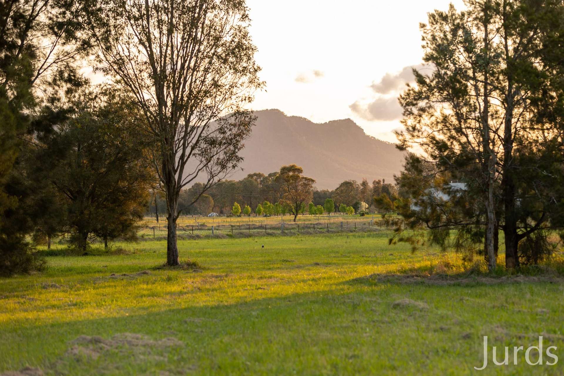 217 Deasys Road, Pokolbin For Sale by Farmbuy.com - image 29