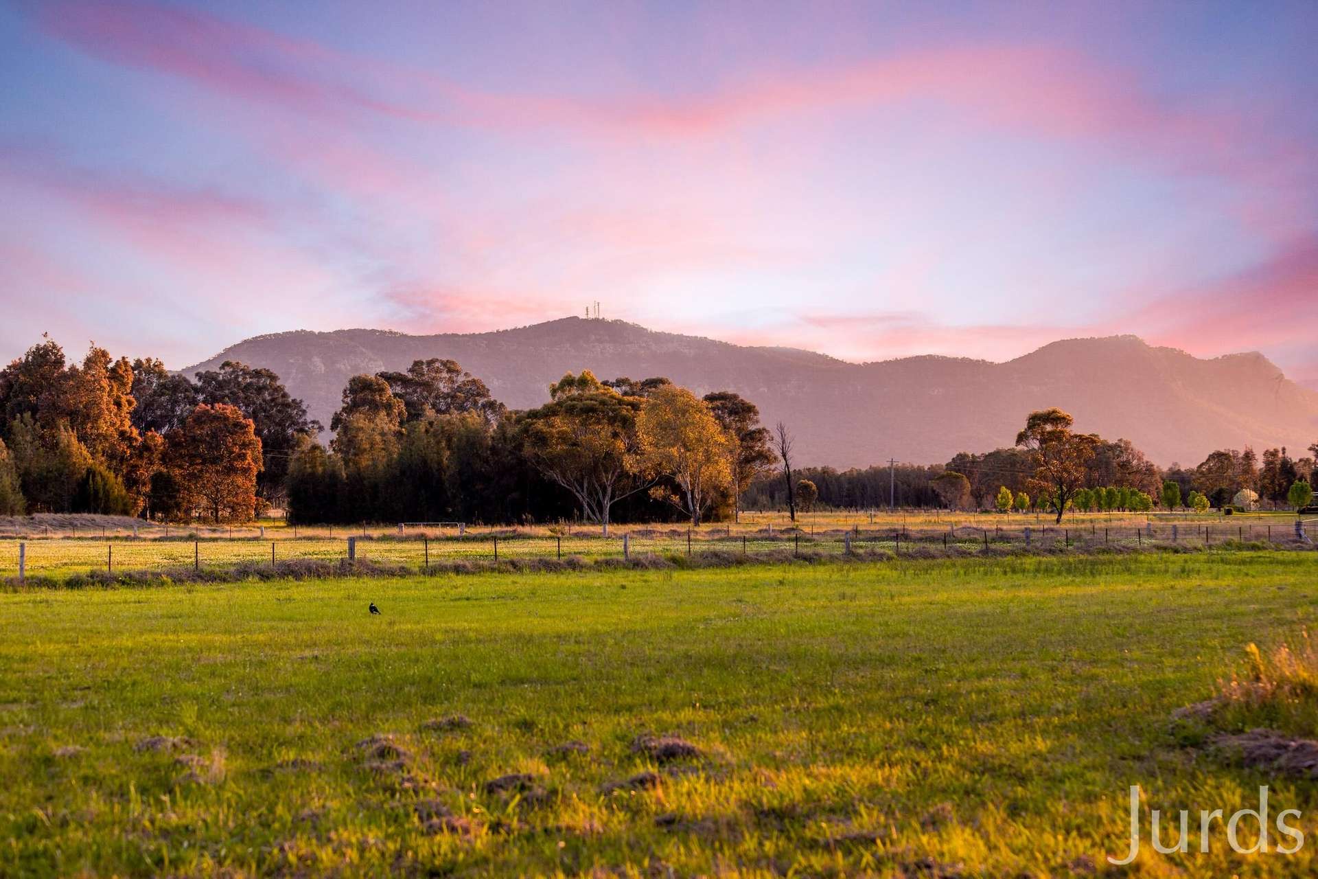 217 Deasys Road, Pokolbin For Sale by Farmbuy.com - image 3