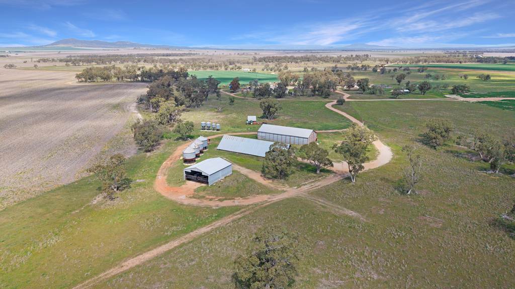 Lignum Aggregation 1822 Howes Hill Road, Spring Ridge NSW 2343