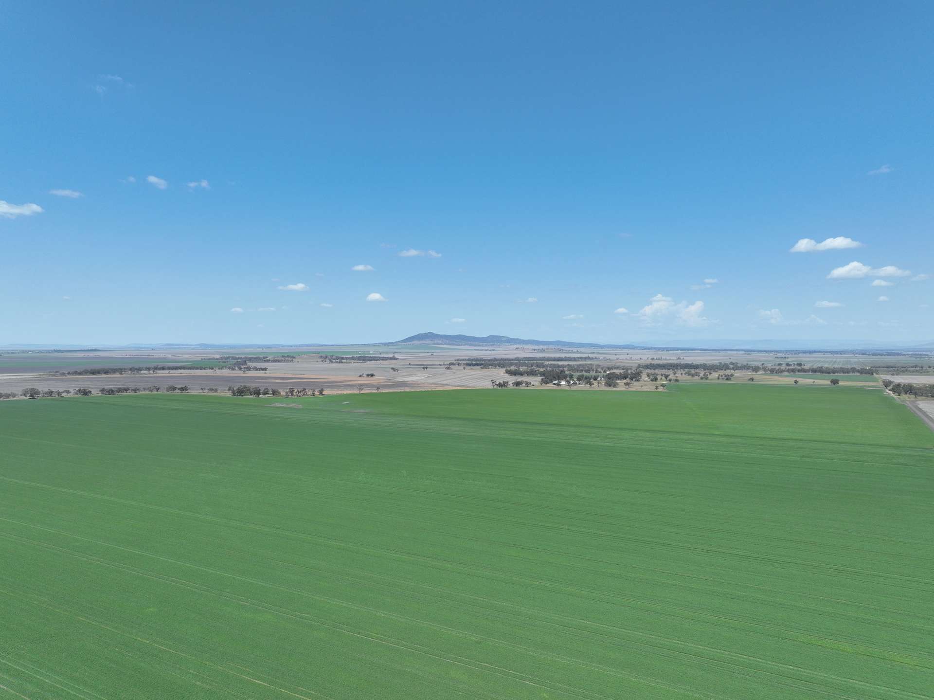Lignum Aggregation 1822 Howes Hill Road, Spring Ridge For Sale by Farmbuy.com - image 3