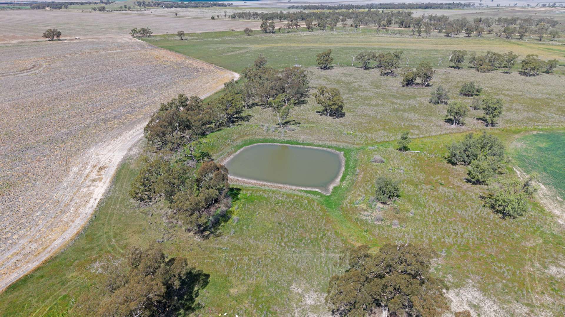 Lignum Aggregation 1822 Howes Hill Road, Spring Ridge For Sale by Farmbuy.com - image 12