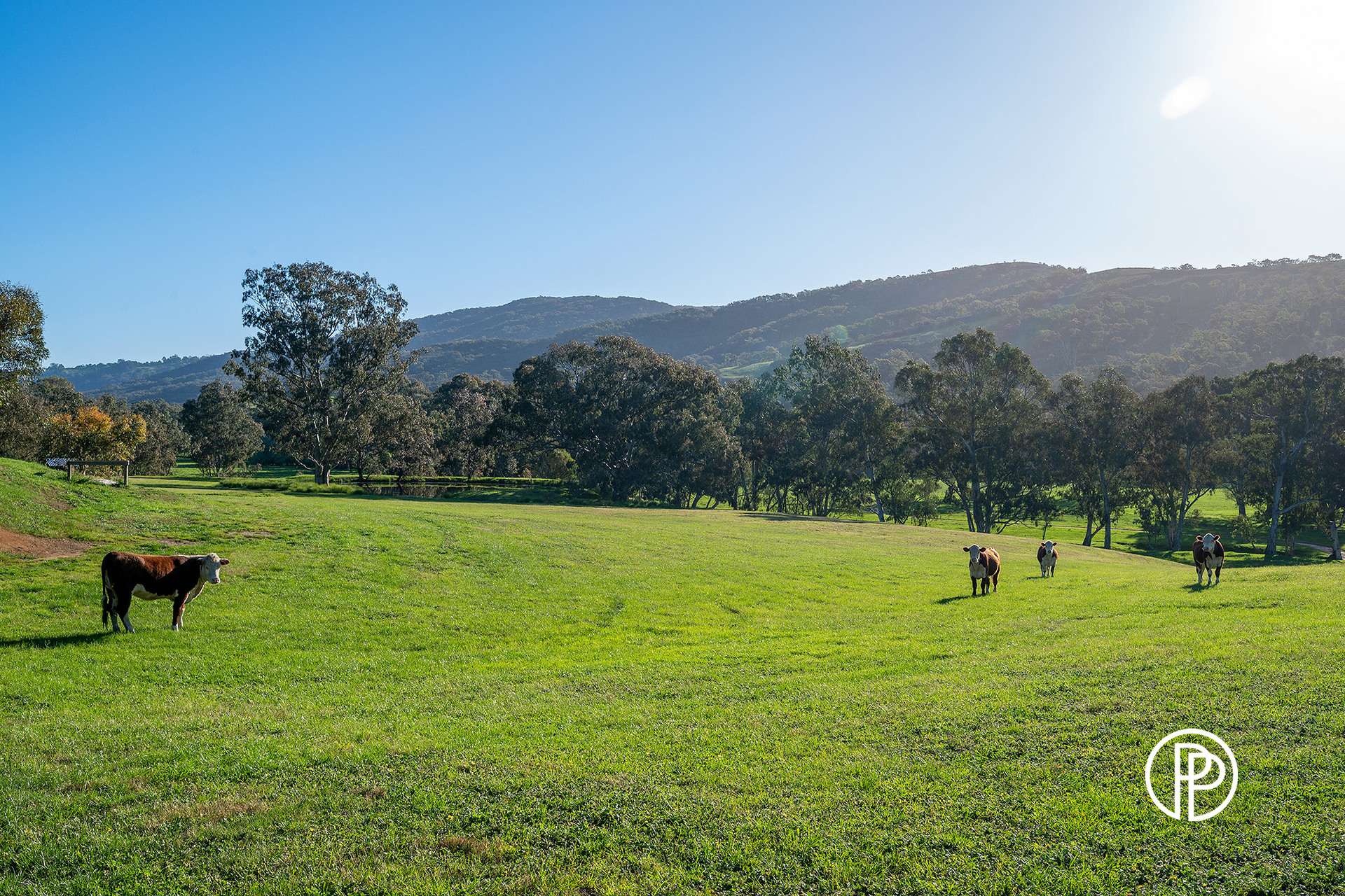 12 King Parrot Creek Road, Kerrisdale For Sale by Farmbuy.com - image 28
