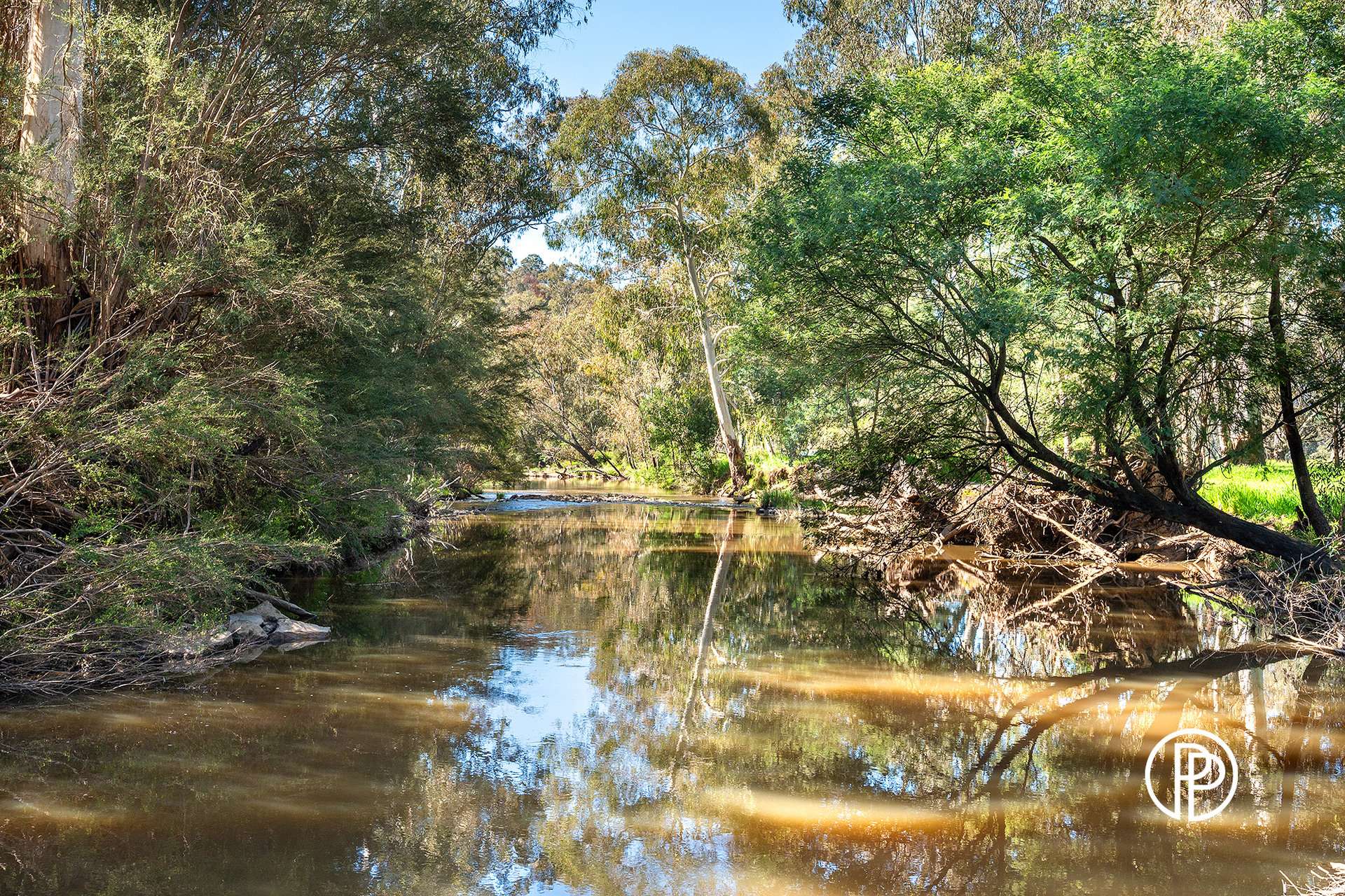 12 King Parrot Creek Road, Kerrisdale For Sale by Farmbuy.com - image 27