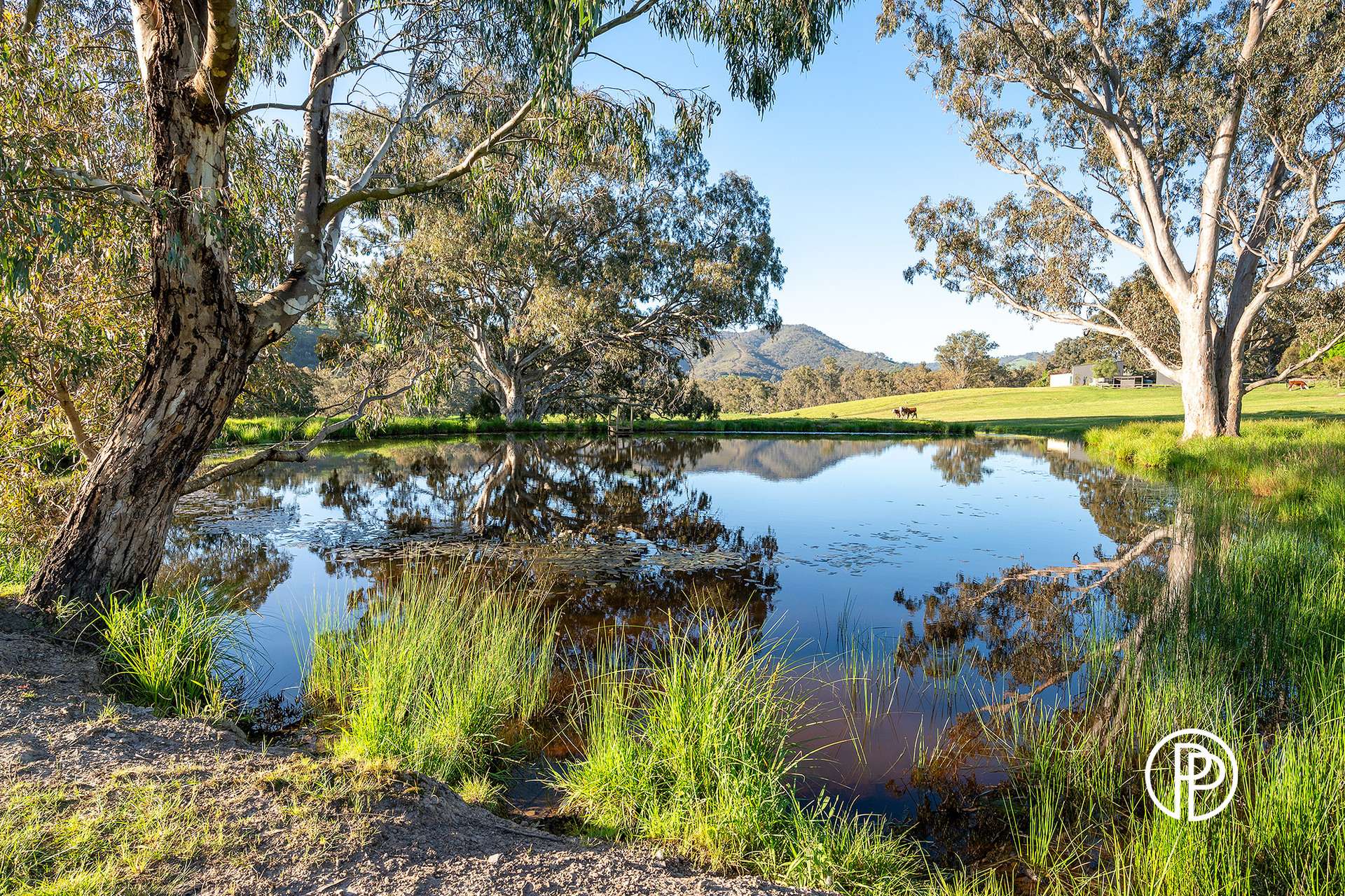 12 King Parrot Creek Road, Kerrisdale For Sale by Farmbuy.com - image 29