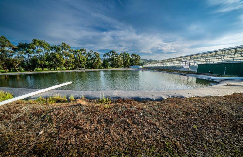 1566 Princes Highway, Yarragon For Sale by Farmbuy.com - image 18
