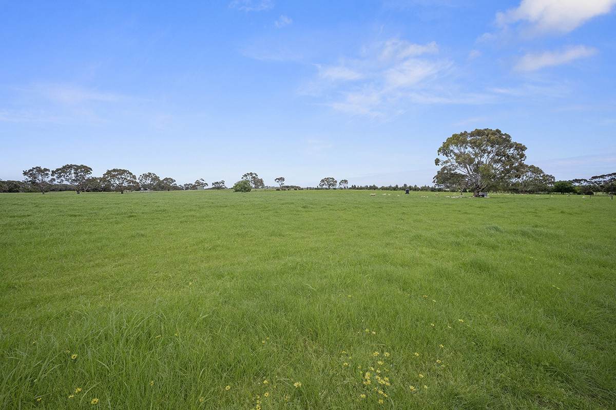 22 Thompsons Road, Hamilton For Sale by Farmbuy.com - image 27