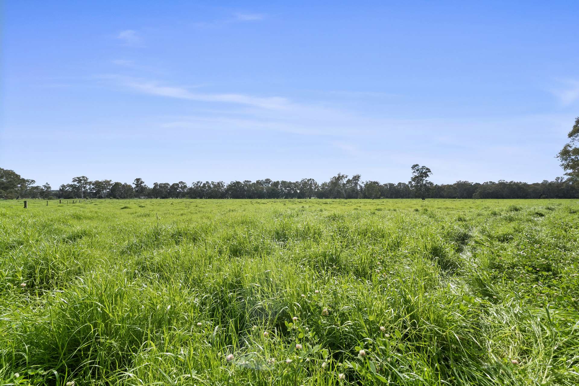 1970 Great Alpine Road, Everton For Sale by Farmbuy.com - image 22