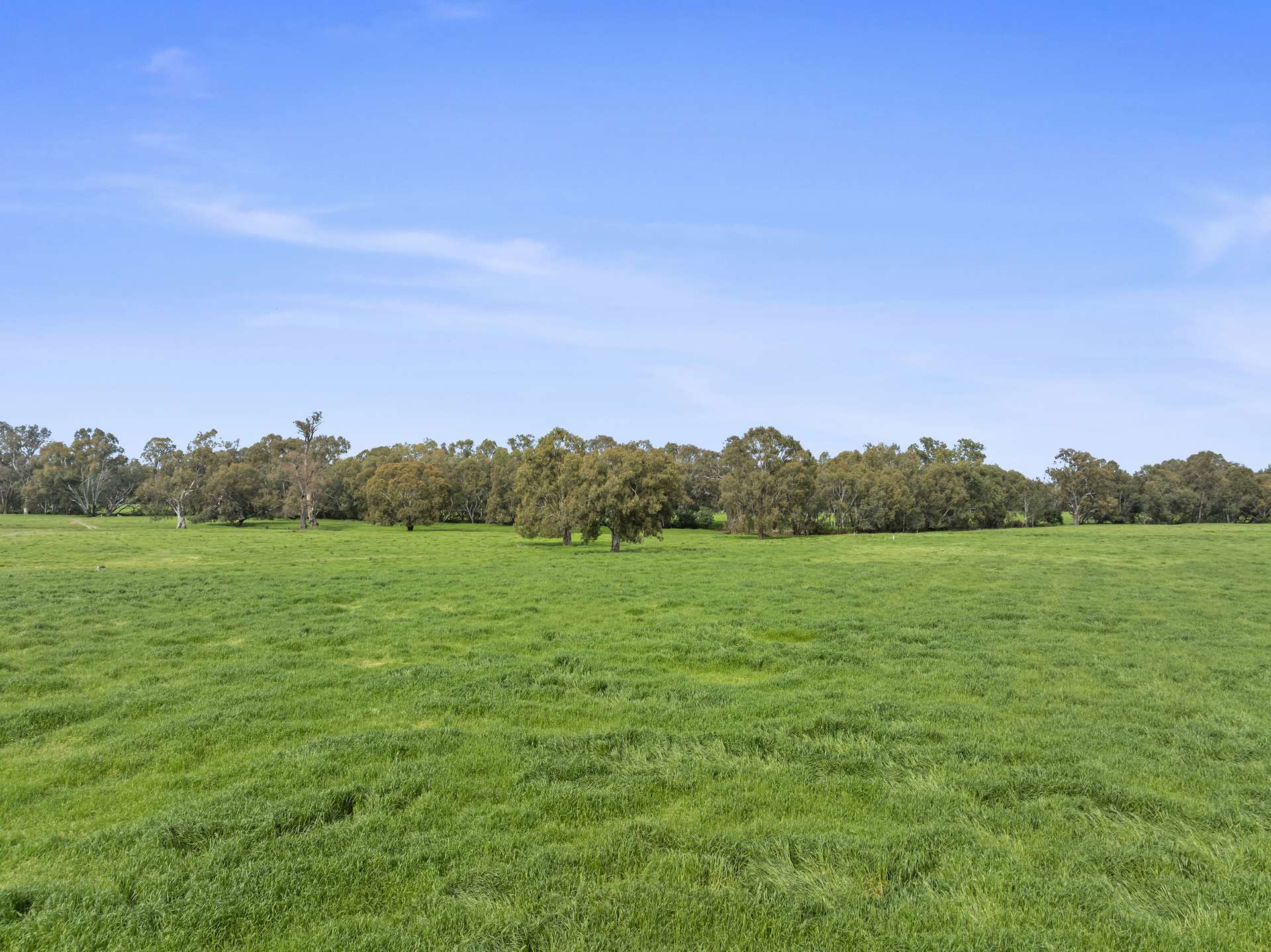 1970 Great Alpine Road, Everton For Sale by Farmbuy.com - image 24