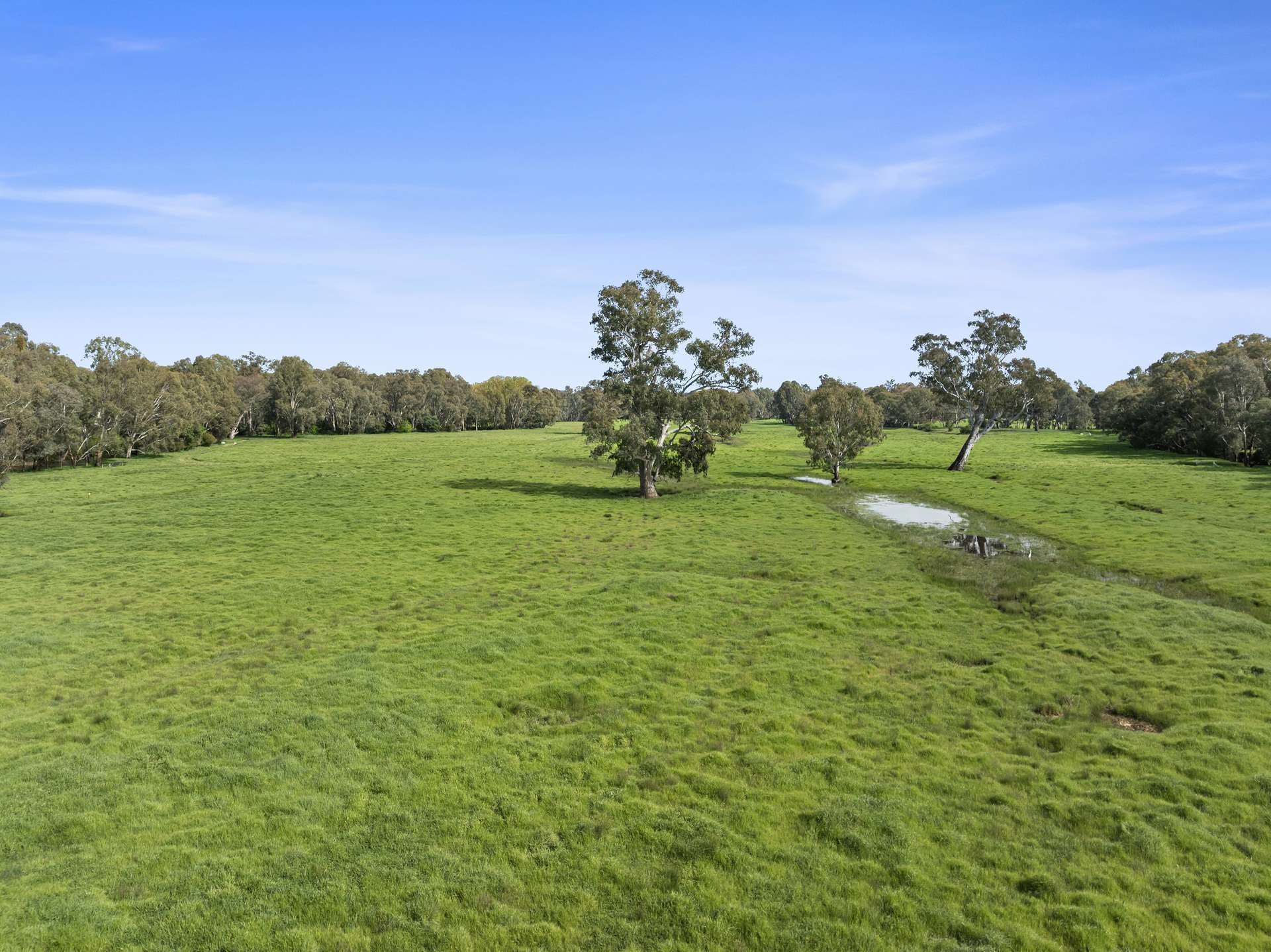 1970 Great Alpine Road, Everton For Sale by Farmbuy.com - image 23