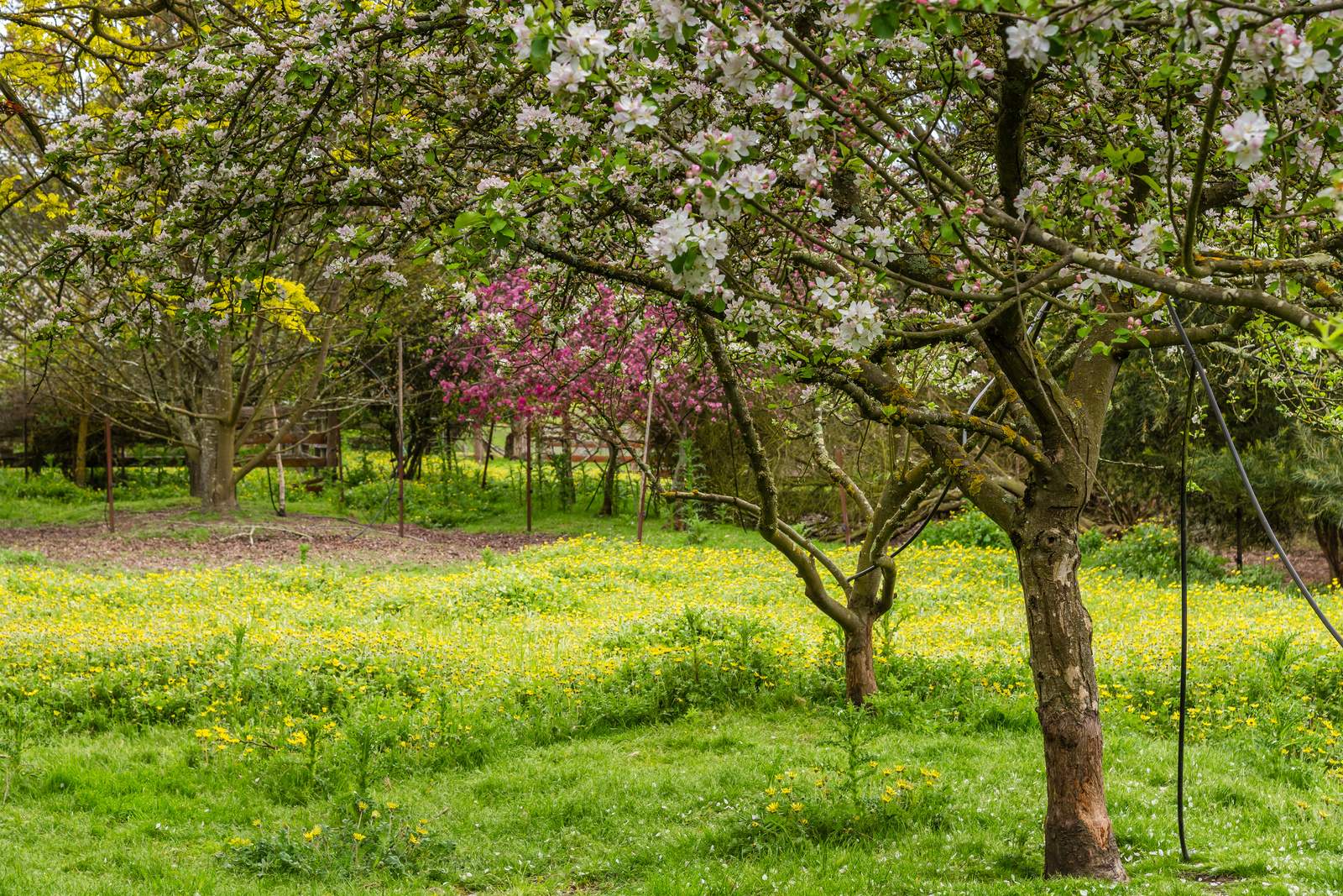 23 Shannons Road, Lancefield For Sale by Farmbuy.com - image 20