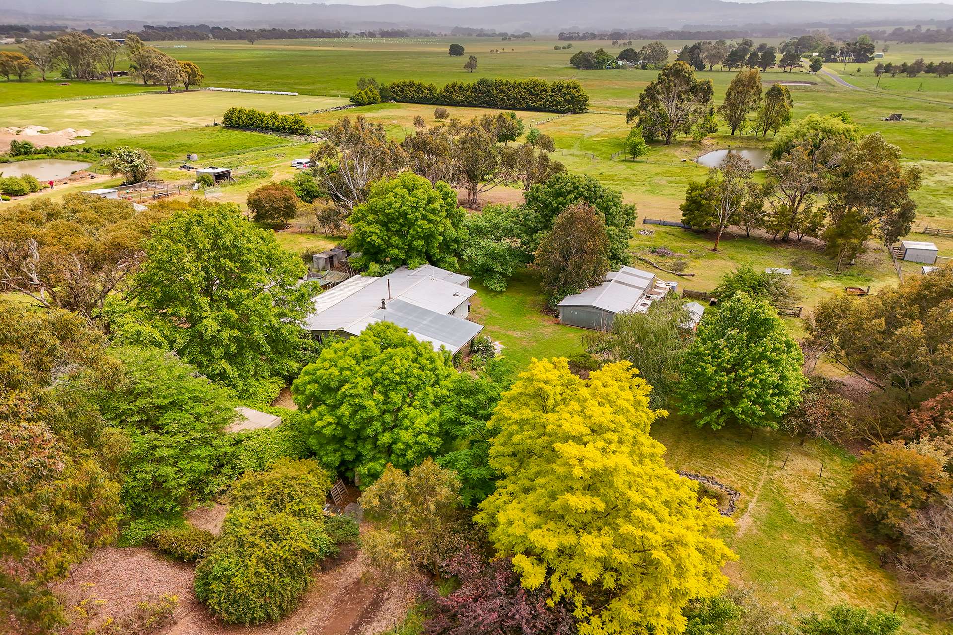 23 Shannons Road, Lancefield For Sale by Farmbuy.com - image 15