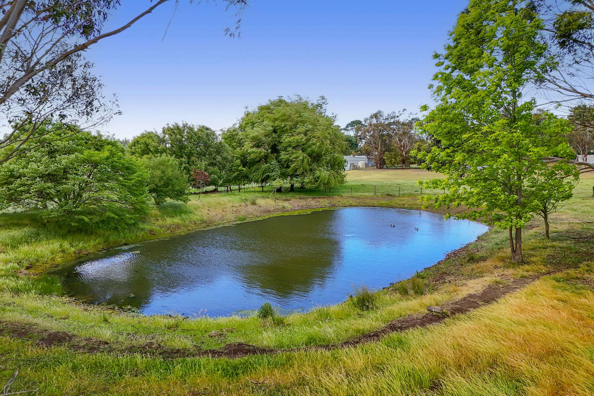 23 Shannons Road, Lancefield For Sale by Farmbuy.com - image 6