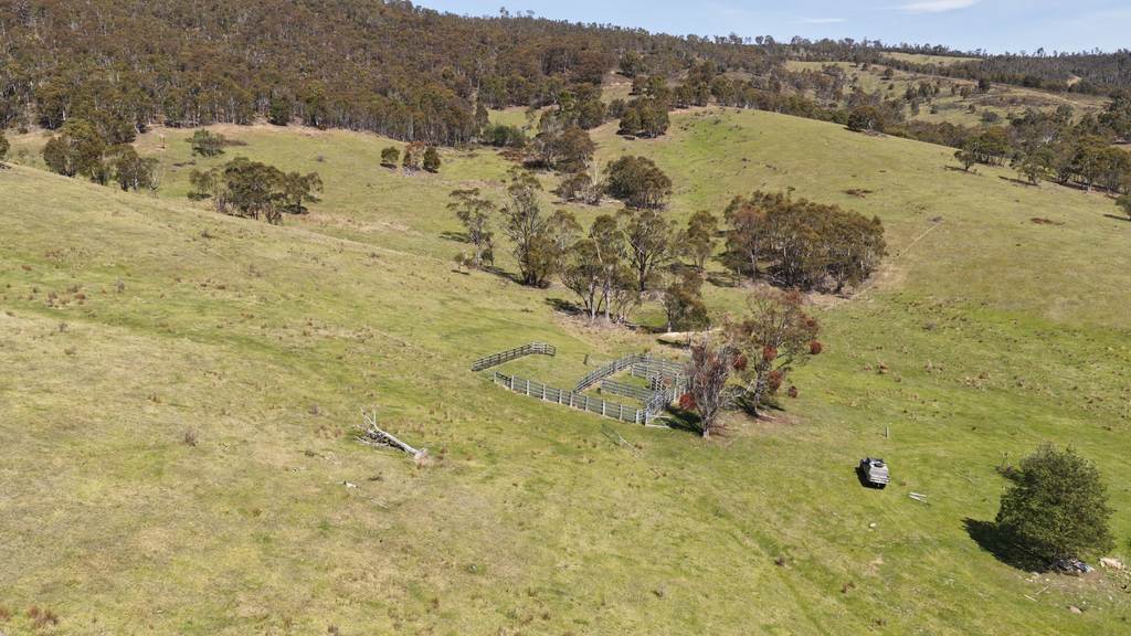 620 Bingo Tice Road, Anglers Rest VIC 3898