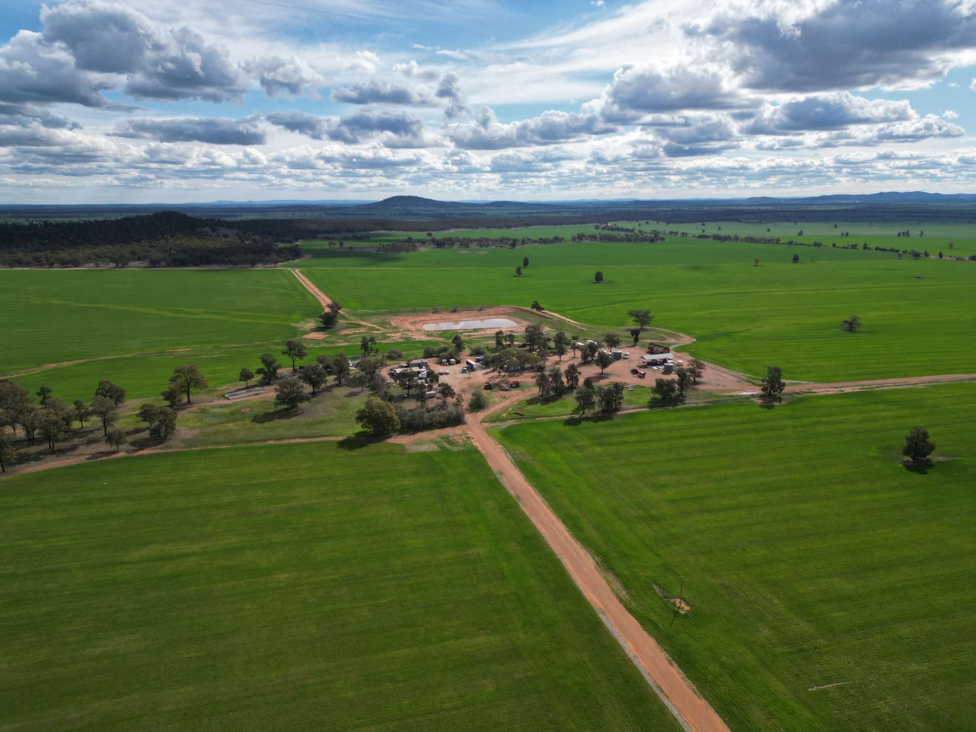 1100 Jillett Road, Ardlethan For Sale by Farmbuy.com - image 15