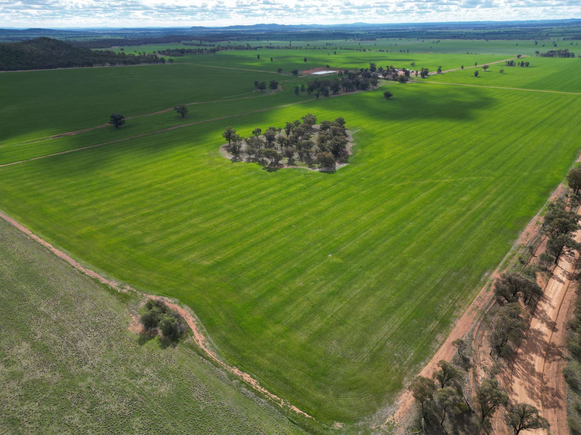 1100 Jillett Road, Ardlethan For Sale by Farmbuy.com - image 9