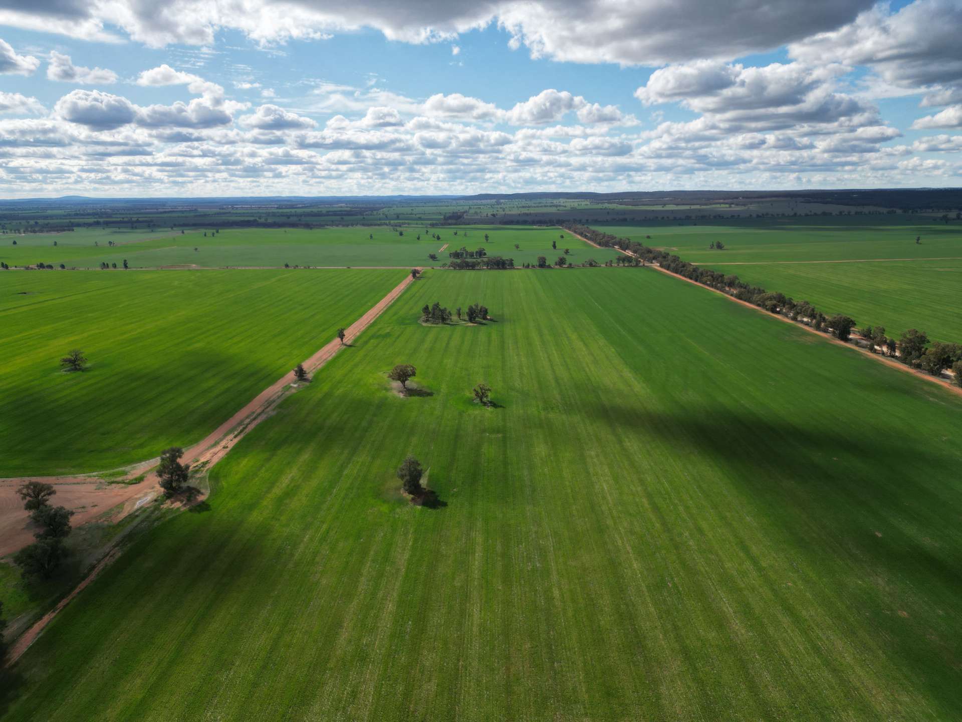 1100 Jillett Road, Ardlethan For Sale by Farmbuy.com - image 18