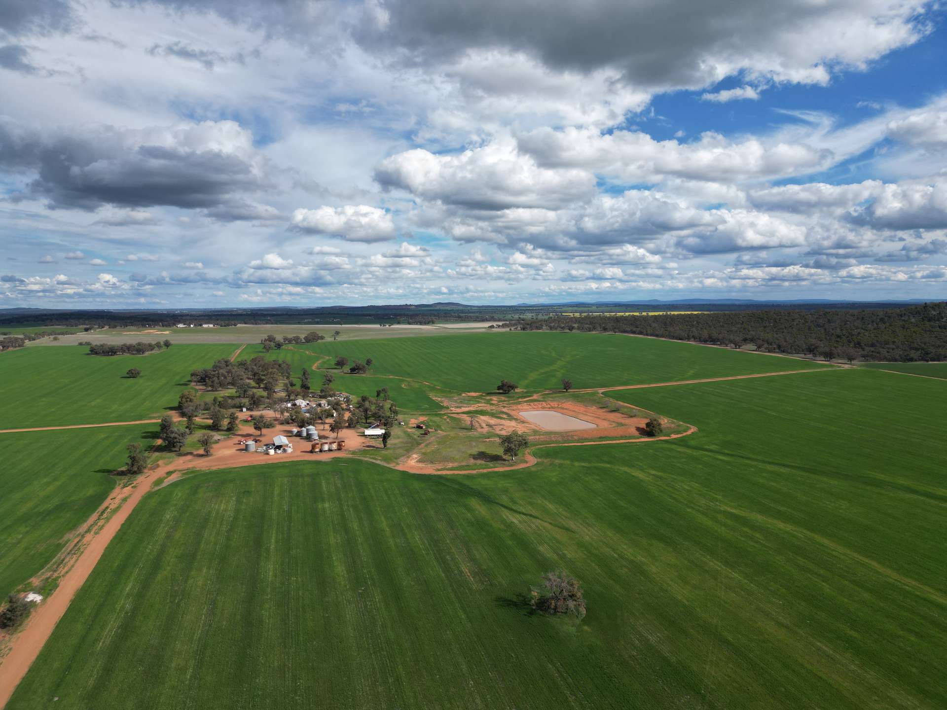 1100 Jillett Road, Ardlethan For Sale by Farmbuy.com - image 17