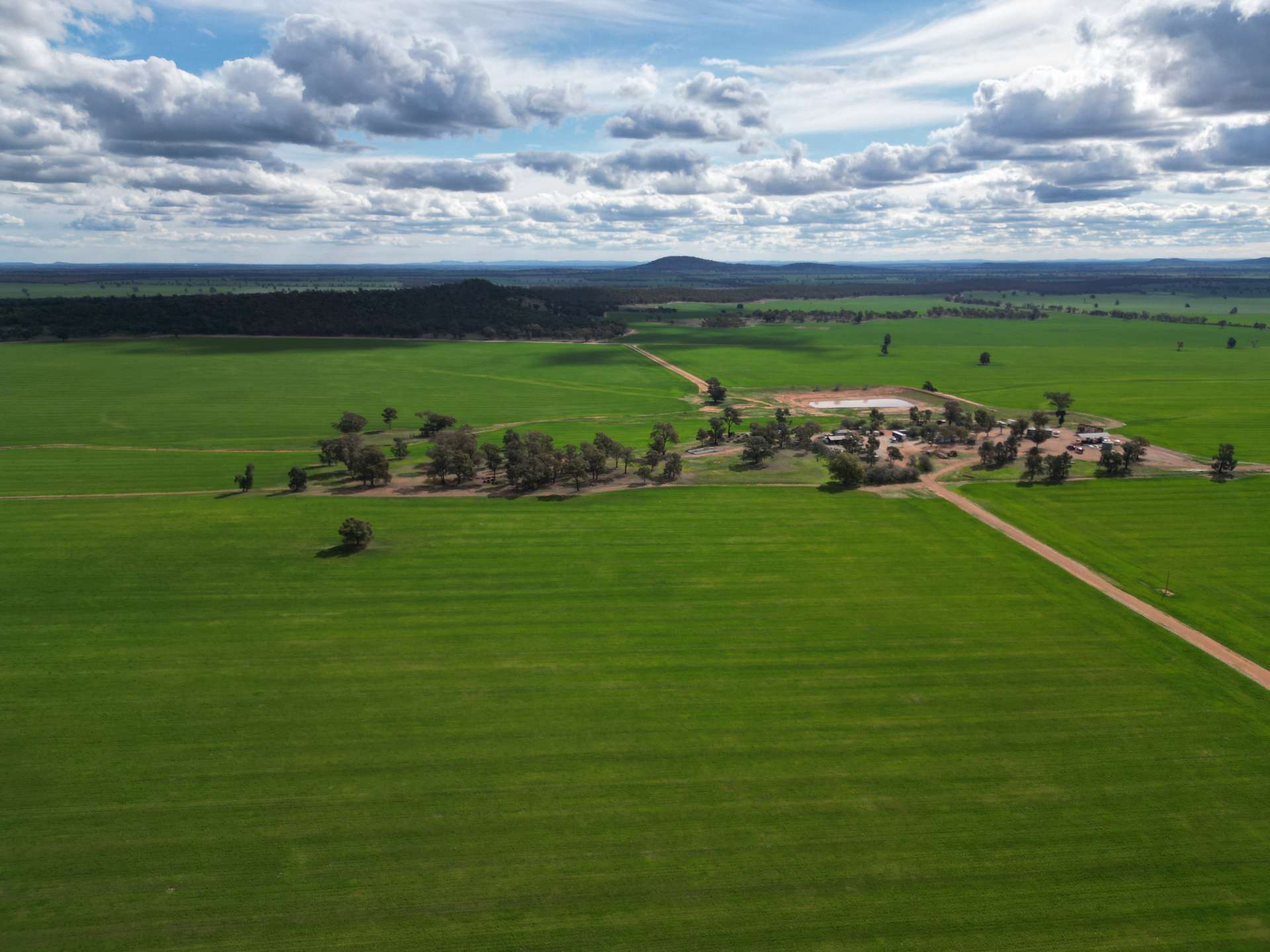 1100 Jillett Road, Ardlethan For Sale by Farmbuy.com - image 12