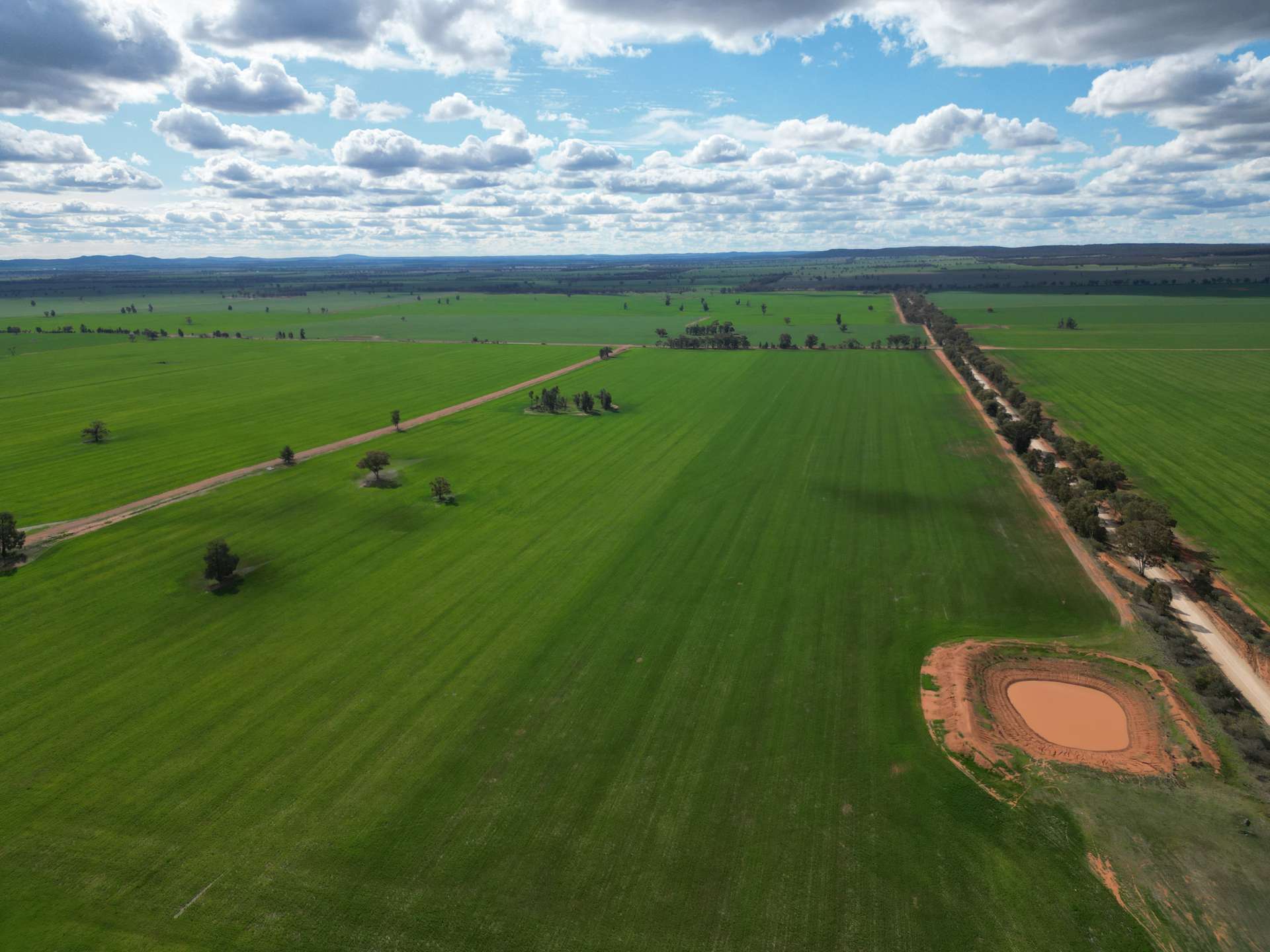 1100 Jillett Road, Ardlethan For Sale by Farmbuy.com - image 16