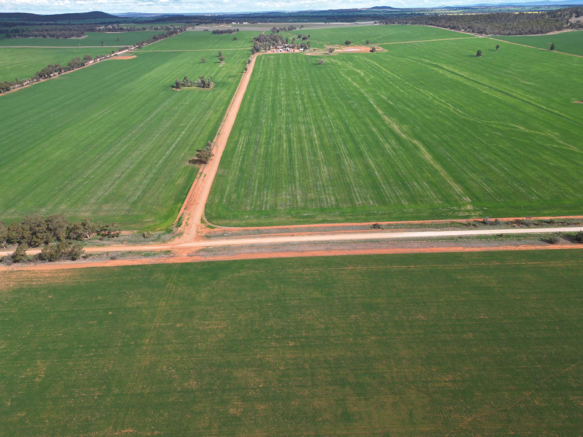 1100 Jillett Road, Ardlethan For Sale by Farmbuy.com - image 2