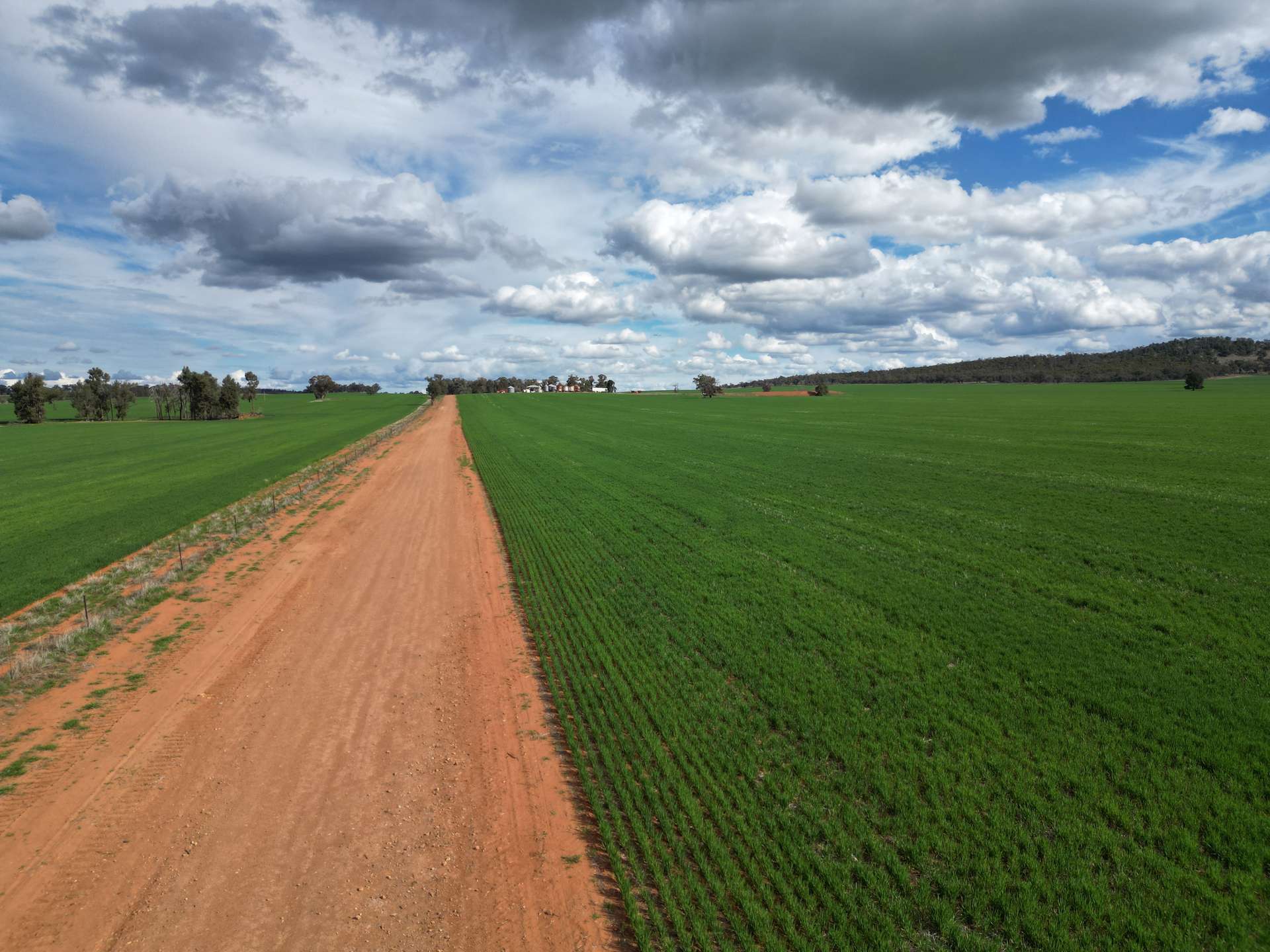 1100 Jillett Road, Ardlethan For Sale by Farmbuy.com - image 3