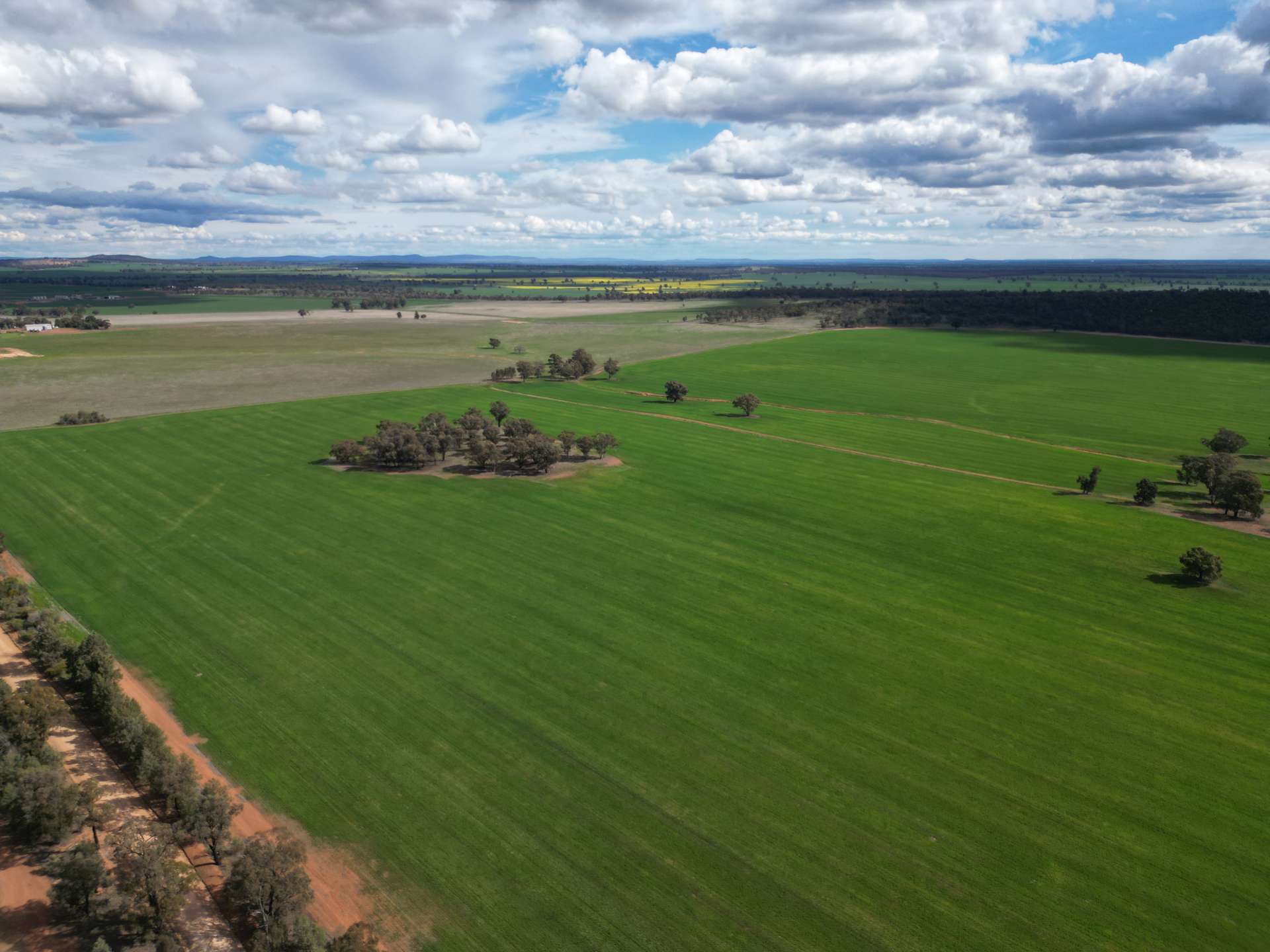 1100 Jillett Road, Ardlethan For Sale by Farmbuy.com - image 11