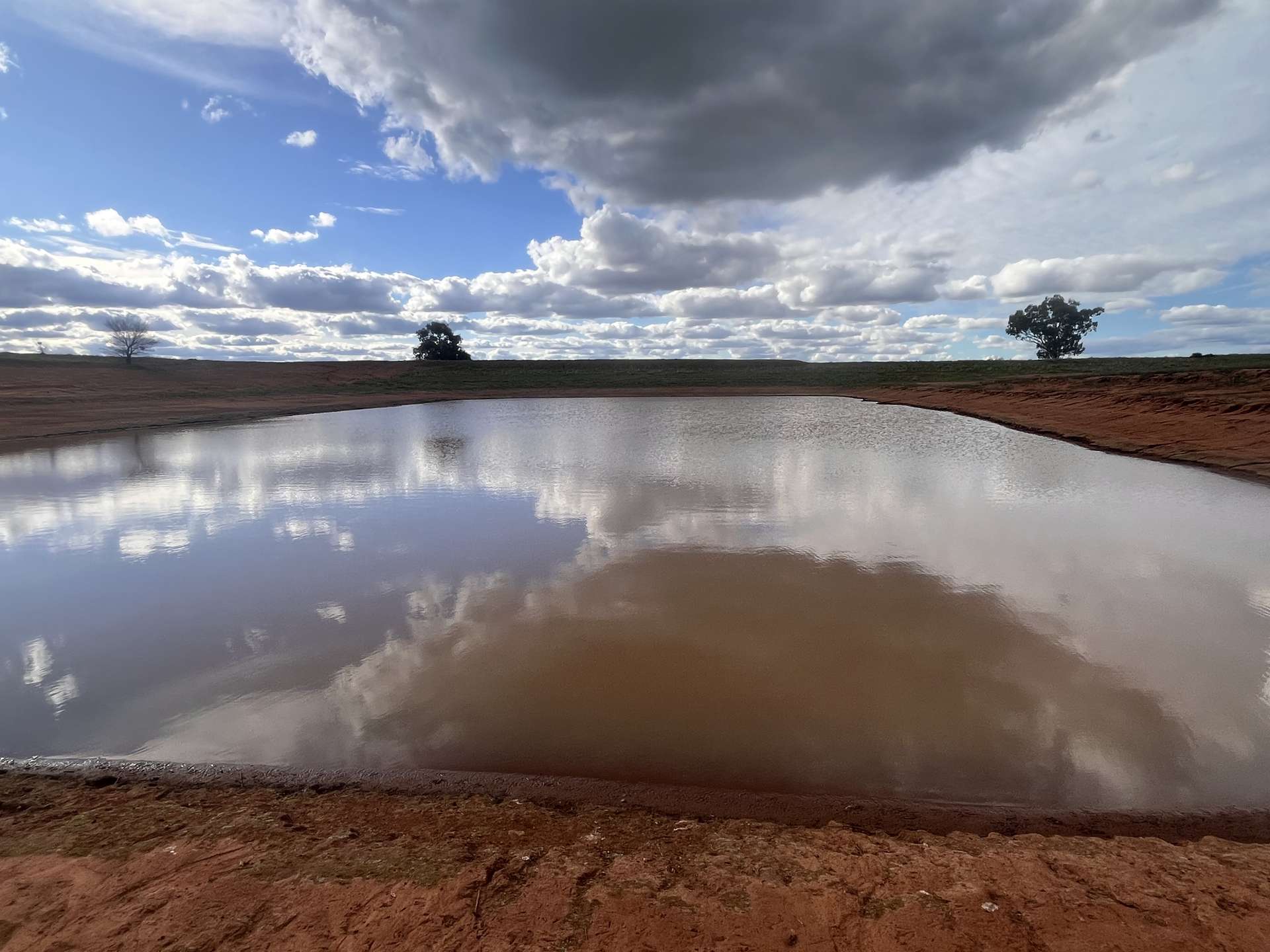 1100 Jillett Road, Ardlethan For Sale by Farmbuy.com - image 6