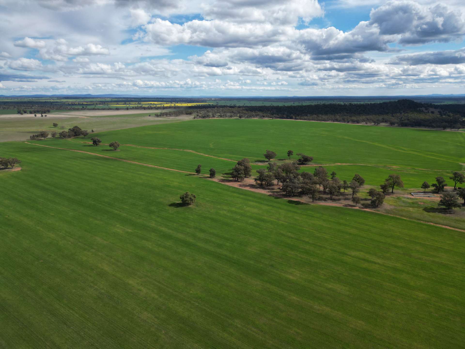 1100 Jillett Road, Ardlethan For Sale by Farmbuy.com - image 14