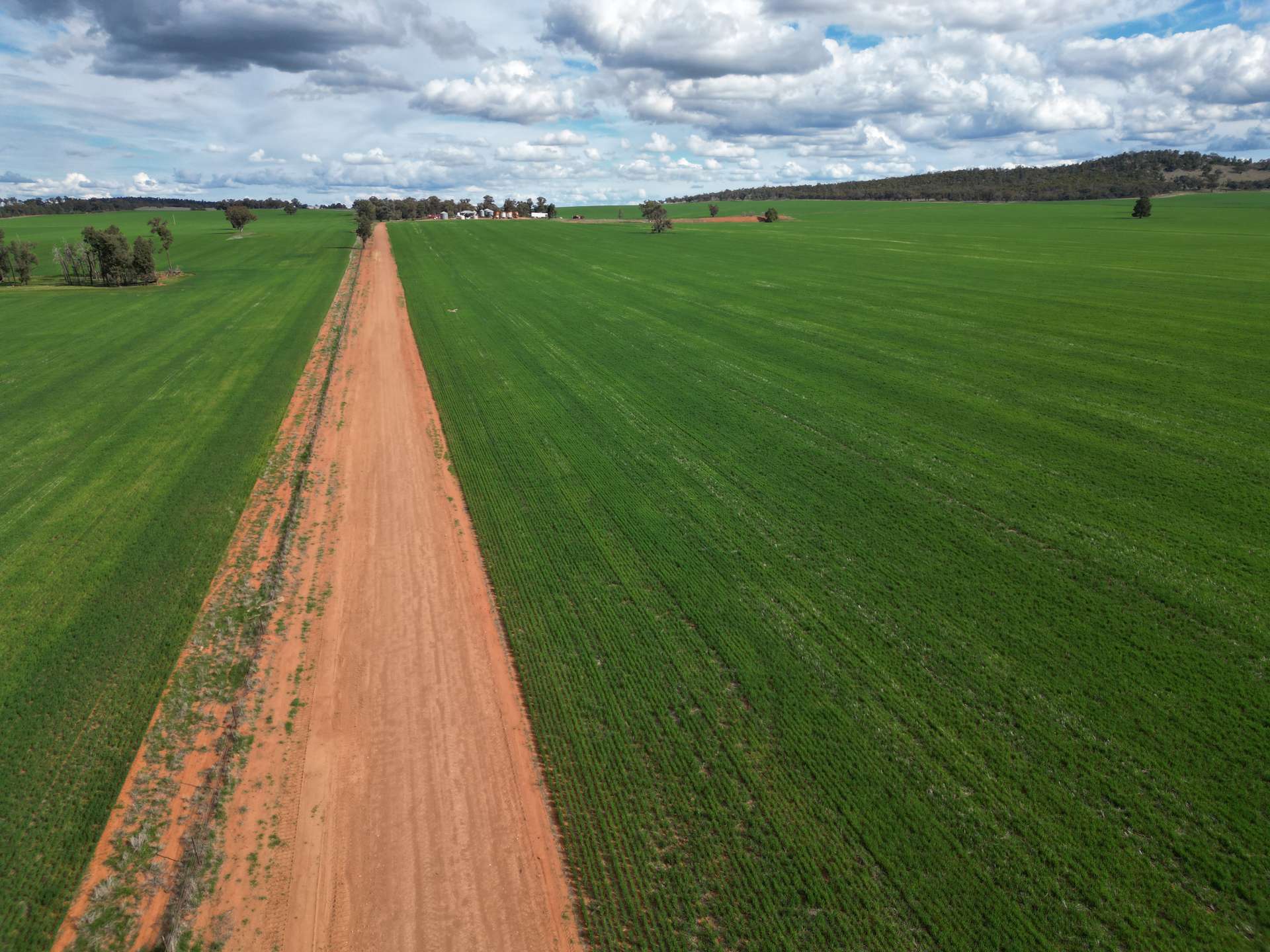 1100 Jillett Road, Ardlethan For Sale by Farmbuy.com - image 7