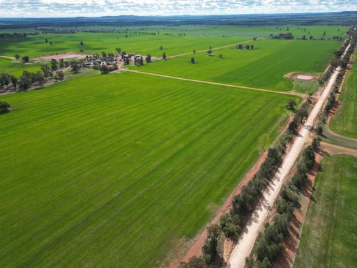 Farm For Sale - NSW - Ardlethan - 2665 - "Aver Hill" aggregation forming a quality mixed farming operation consisting of 922Ha(2278ac)* 