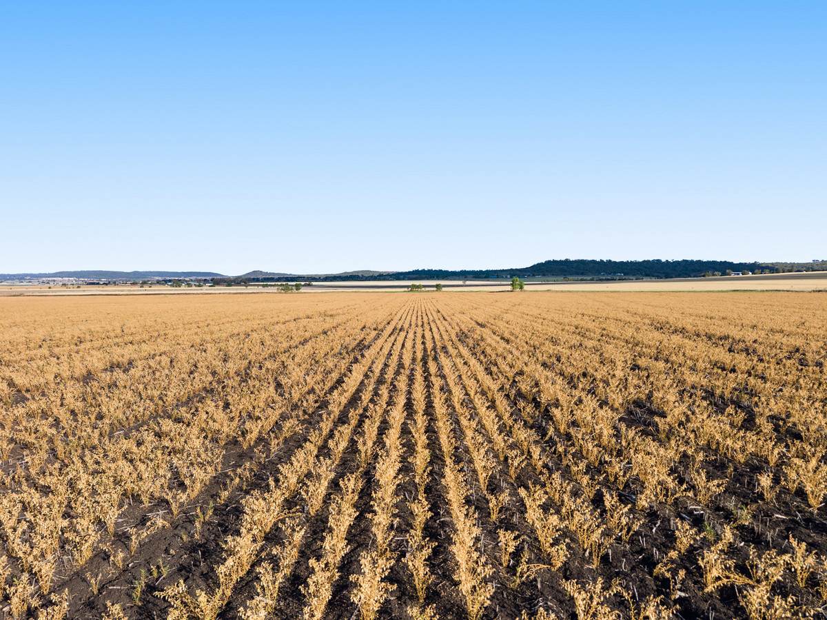 Lot 7 Cronin Road, Mount Tyson For Sale by Farmbuy.com - image 8