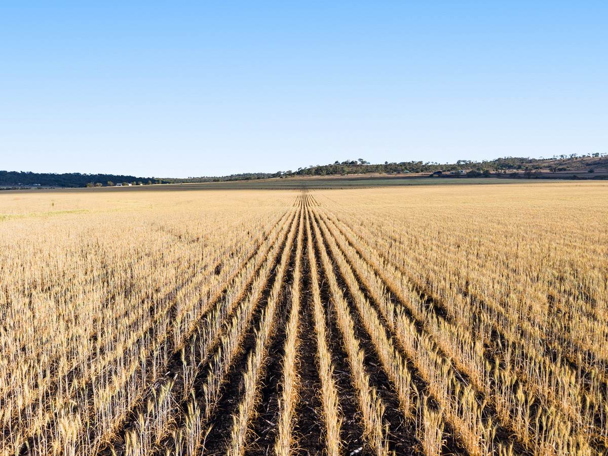 Lot 7 Cronin Road, Mount Tyson For Sale by Farmbuy.com - image 2