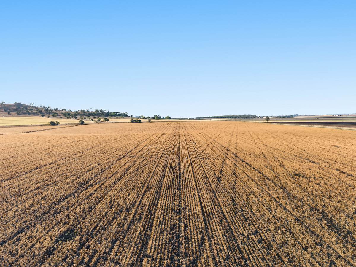 Lot 7 Cronin Road, Mount Tyson For Sale by Farmbuy.com - image 4
