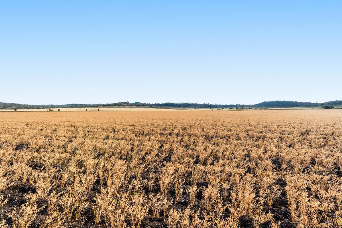 Lot 7 Cronin Road, Mount Tyson For Sale by Farmbuy.com - image 7