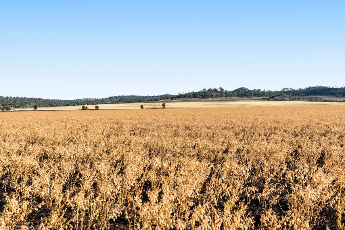Lot 7 Cronin Road, Mount Tyson For Sale by Farmbuy.com - image 6