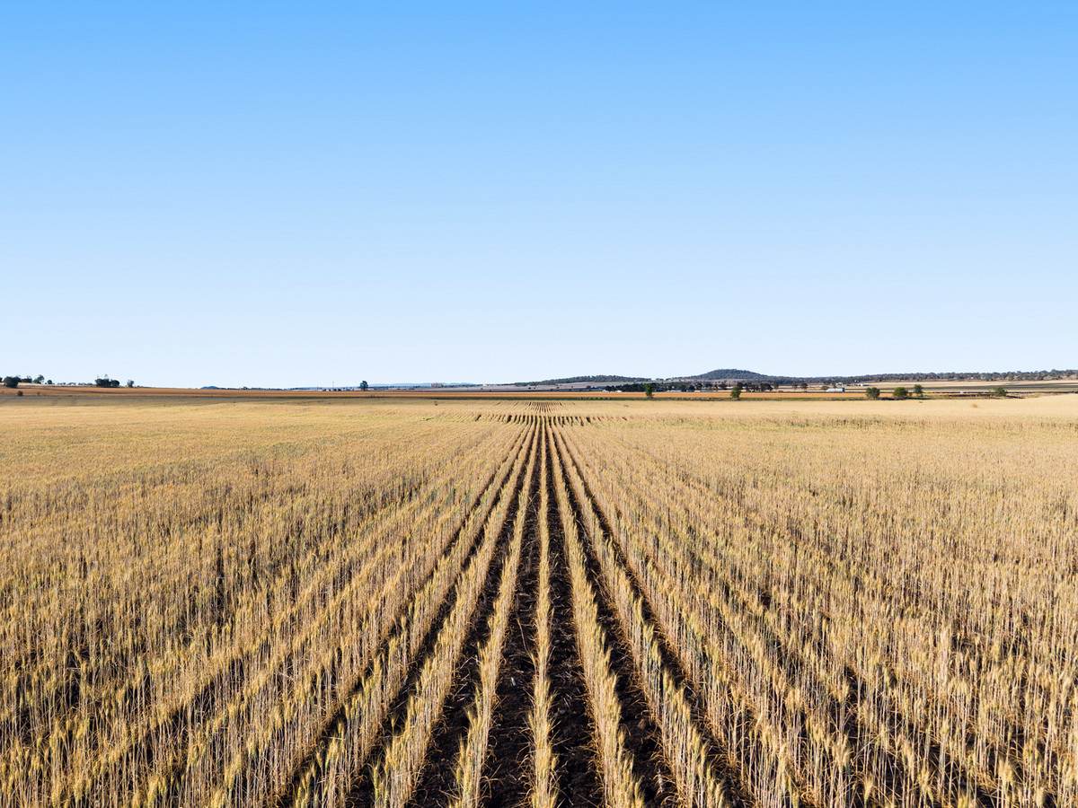 Lot 7 Cronin Road, Mount Tyson For Sale by Farmbuy.com - image 3