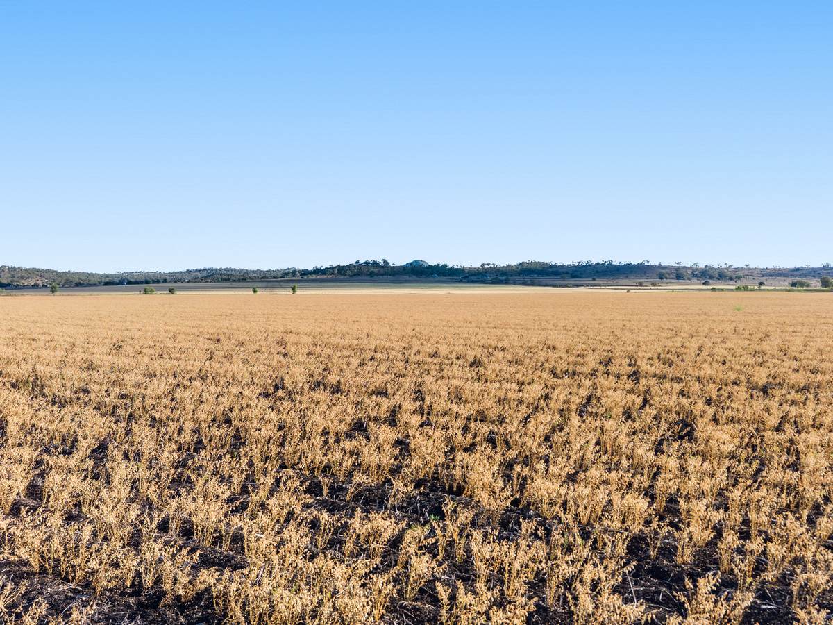 Lot 7 Cronin Road, Mount Tyson For Sale by Farmbuy.com - image 5