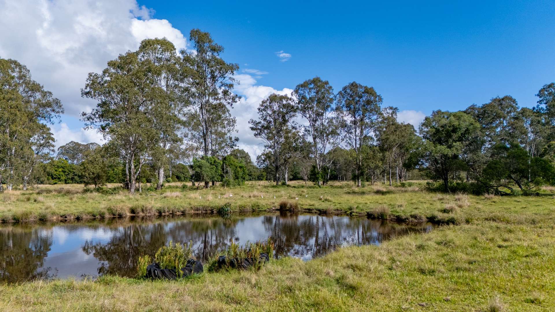 1015 Cootharaba Road, Cootharaba Auction by Farmbuy.com - image 31