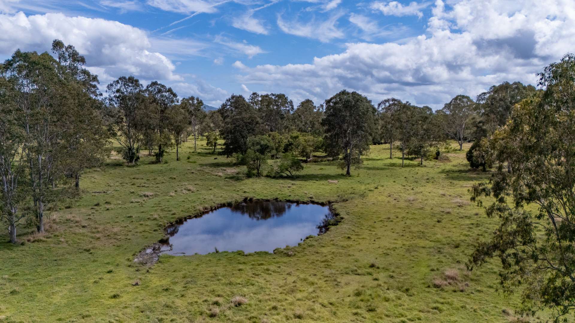 1015 Cootharaba Road, Cootharaba Auction by Farmbuy.com - image 3