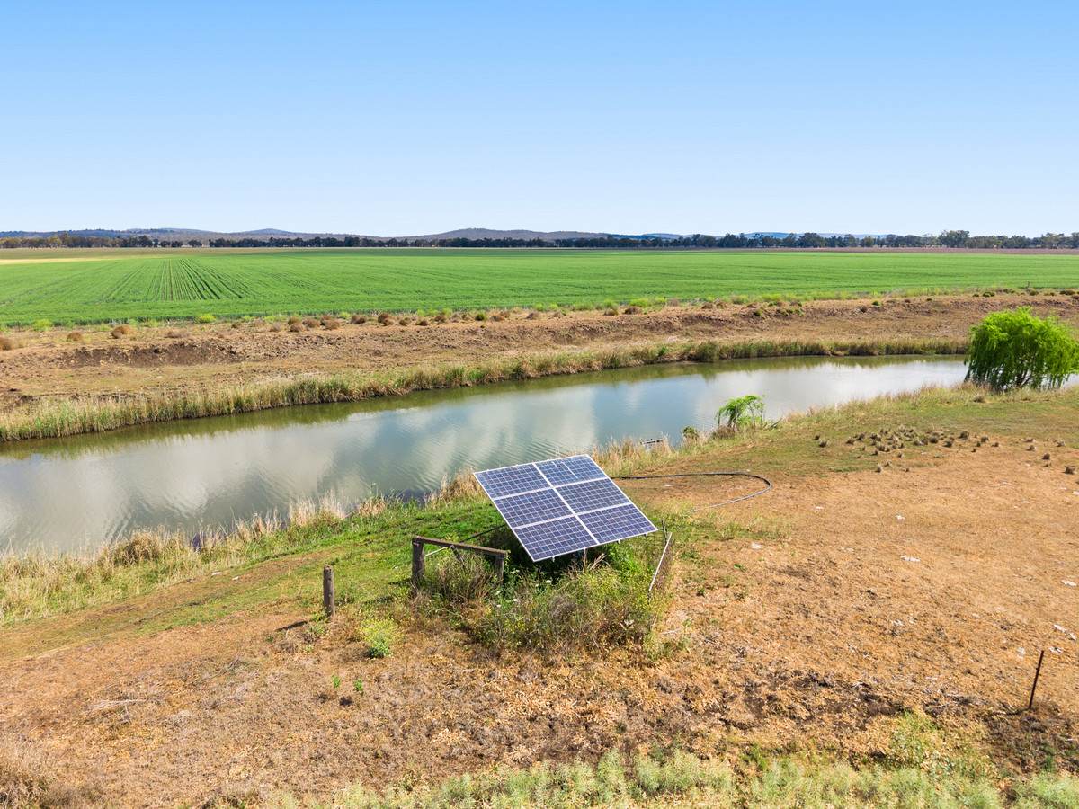 1635 Clifton Leyburn Road, Ellangowan For Sale by Farmbuy.com - image 30