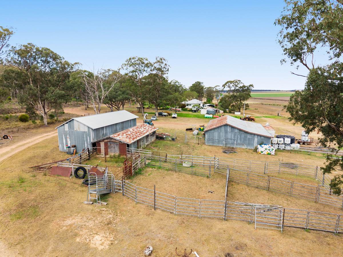 1635 Clifton Leyburn Road, Ellangowan For Sale by Farmbuy.com - image 24