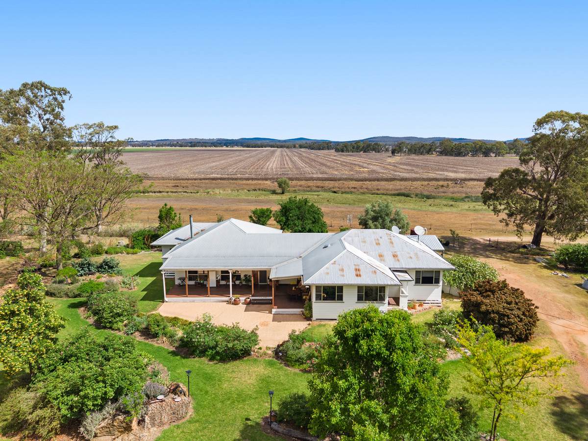 1635 Clifton Leyburn Road, Ellangowan For Sale by Farmbuy.com - image 13