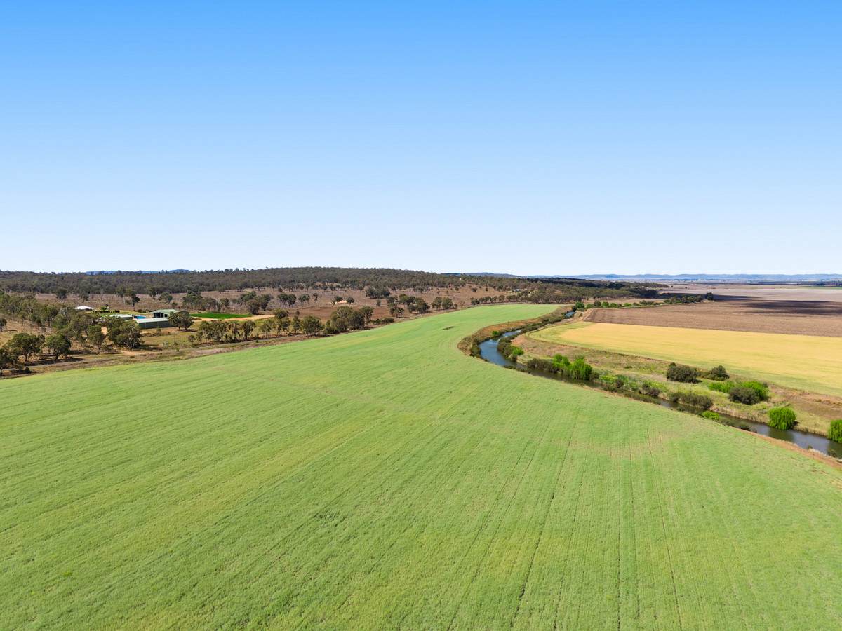 1635 Clifton Leyburn Road, Ellangowan For Sale by Farmbuy.com - image 11