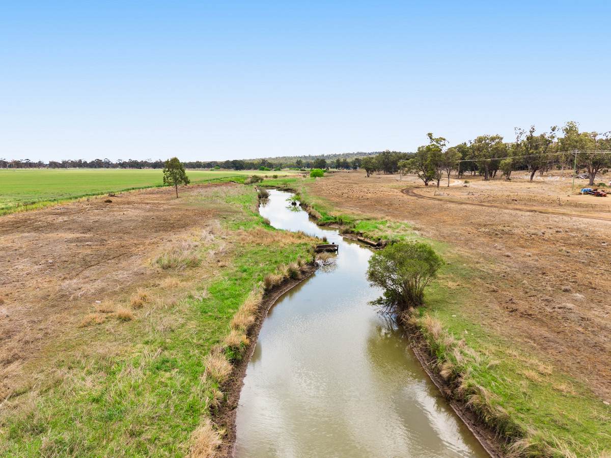 1635 Clifton Leyburn Road, Ellangowan For Sale by Farmbuy.com - image 27