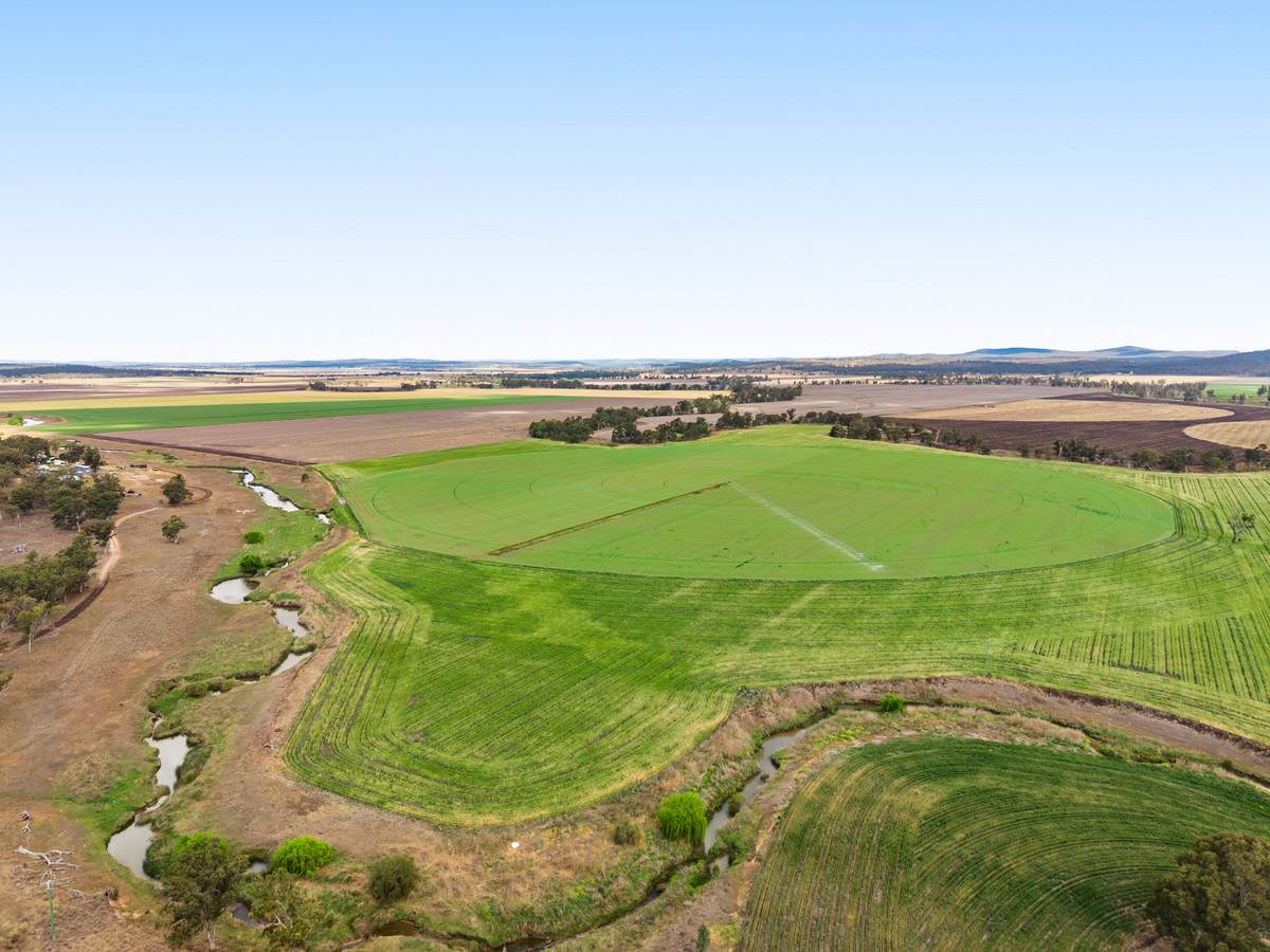 1635 Clifton Leyburn Road, Ellangowan For Sale by Farmbuy.com - image 1
